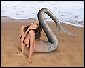 SIREN